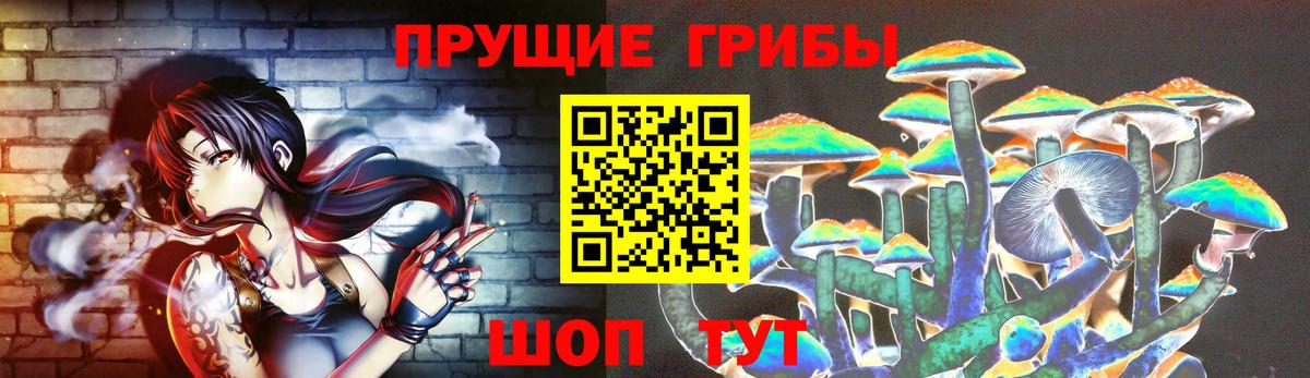Звенигород  Псилоцибиновые грибы Cubensis  Вход с VPN 